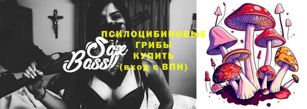 дживик Богородск