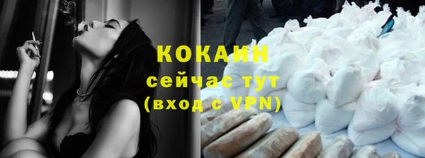 дживик Богородск