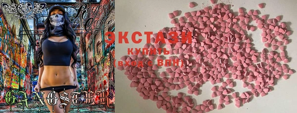дживик Богородск