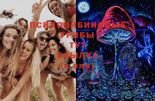 меф Бородино