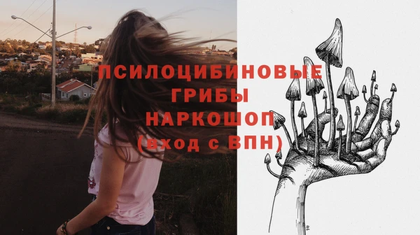 mdpv Богданович