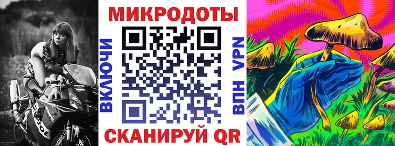 блэк спрут зеркало  наркошоп  Комсомольск-на-Амуре  Псилоцибиновые грибы Psilocybine cubensis 